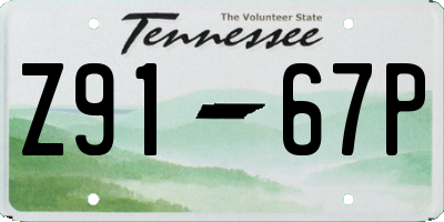 TN license plate Z9167P