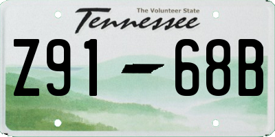 TN license plate Z9168B