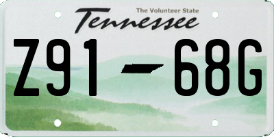 TN license plate Z9168G