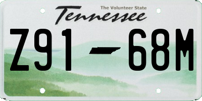 TN license plate Z9168M