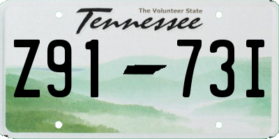 TN license plate Z9173I