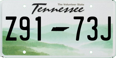TN license plate Z9173J