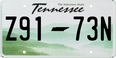 TN license plate Z9173N