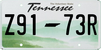 TN license plate Z9173R