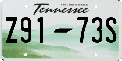 TN license plate Z9173S