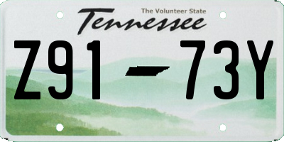 TN license plate Z9173Y