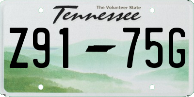 TN license plate Z9175G