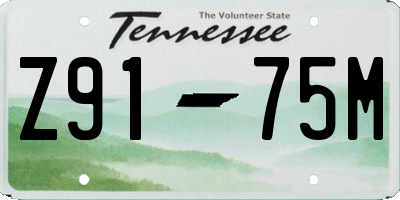 TN license plate Z9175M