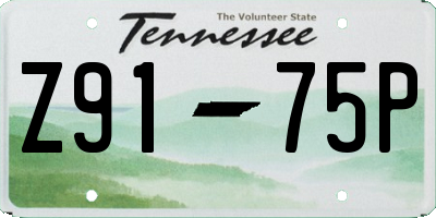 TN license plate Z9175P