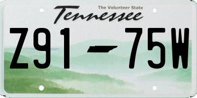 TN license plate Z9175W