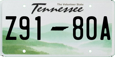 TN license plate Z9180A