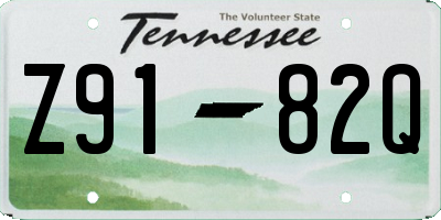 TN license plate Z9182Q