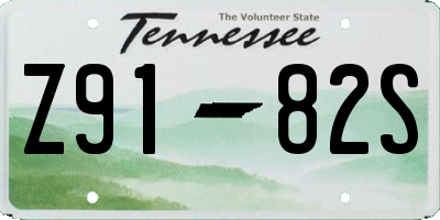 TN license plate Z9182S