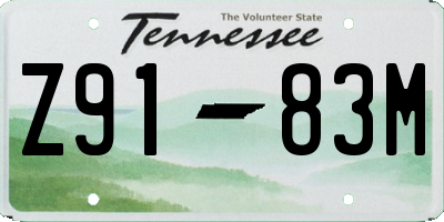 TN license plate Z9183M