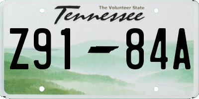 TN license plate Z9184A
