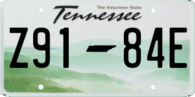 TN license plate Z9184E