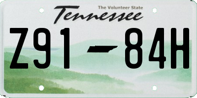 TN license plate Z9184H