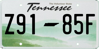 TN license plate Z9185F