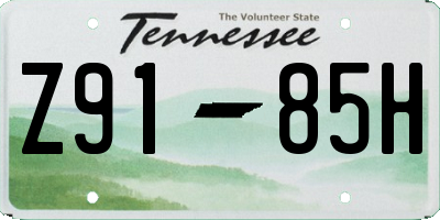 TN license plate Z9185H