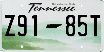 TN license plate Z9185T