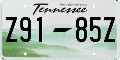 TN license plate Z9185Z