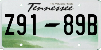 TN license plate Z9189B