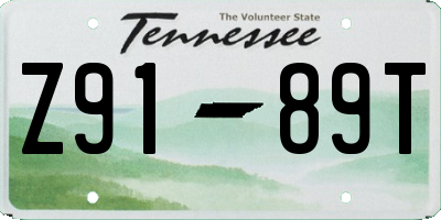 TN license plate Z9189T