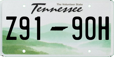 TN license plate Z9190H