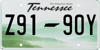 TN license plate Z9190Y