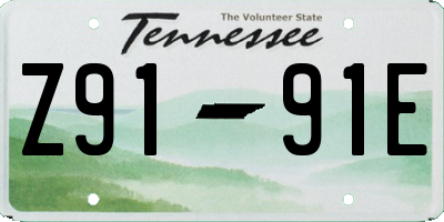 TN license plate Z9191E
