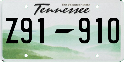 TN license plate Z9191O