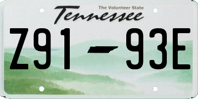 TN license plate Z9193E
