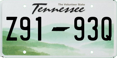 TN license plate Z9193Q