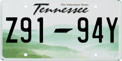 TN license plate Z9194Y
