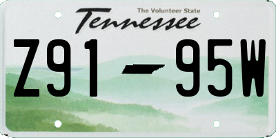 TN license plate Z9195W