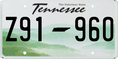 TN license plate Z9196O