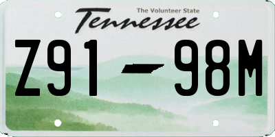 TN license plate Z9198M