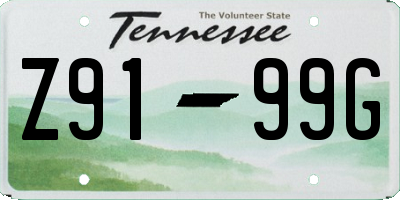 TN license plate Z9199G