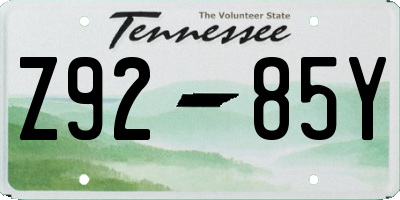 TN license plate Z9285Y
