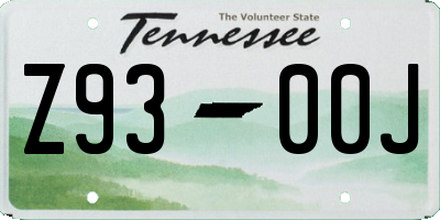 TN license plate Z9300J