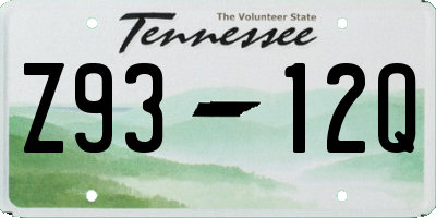 TN license plate Z9312Q