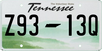 TN license plate Z9313Q