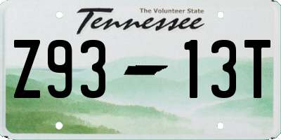 TN license plate Z9313T
