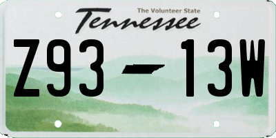 TN license plate Z9313W