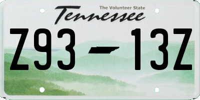 TN license plate Z9313Z