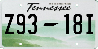 TN license plate Z9318I