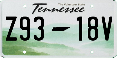 TN license plate Z9318V