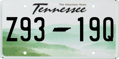 TN license plate Z9319Q