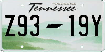 TN license plate Z9319Y