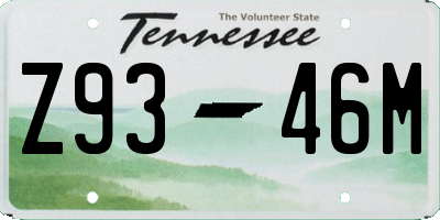 TN license plate Z9346M